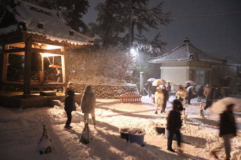 ���𓳂����X