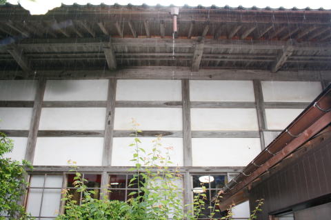 雨
