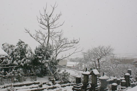 法福寺からみた雪化粧